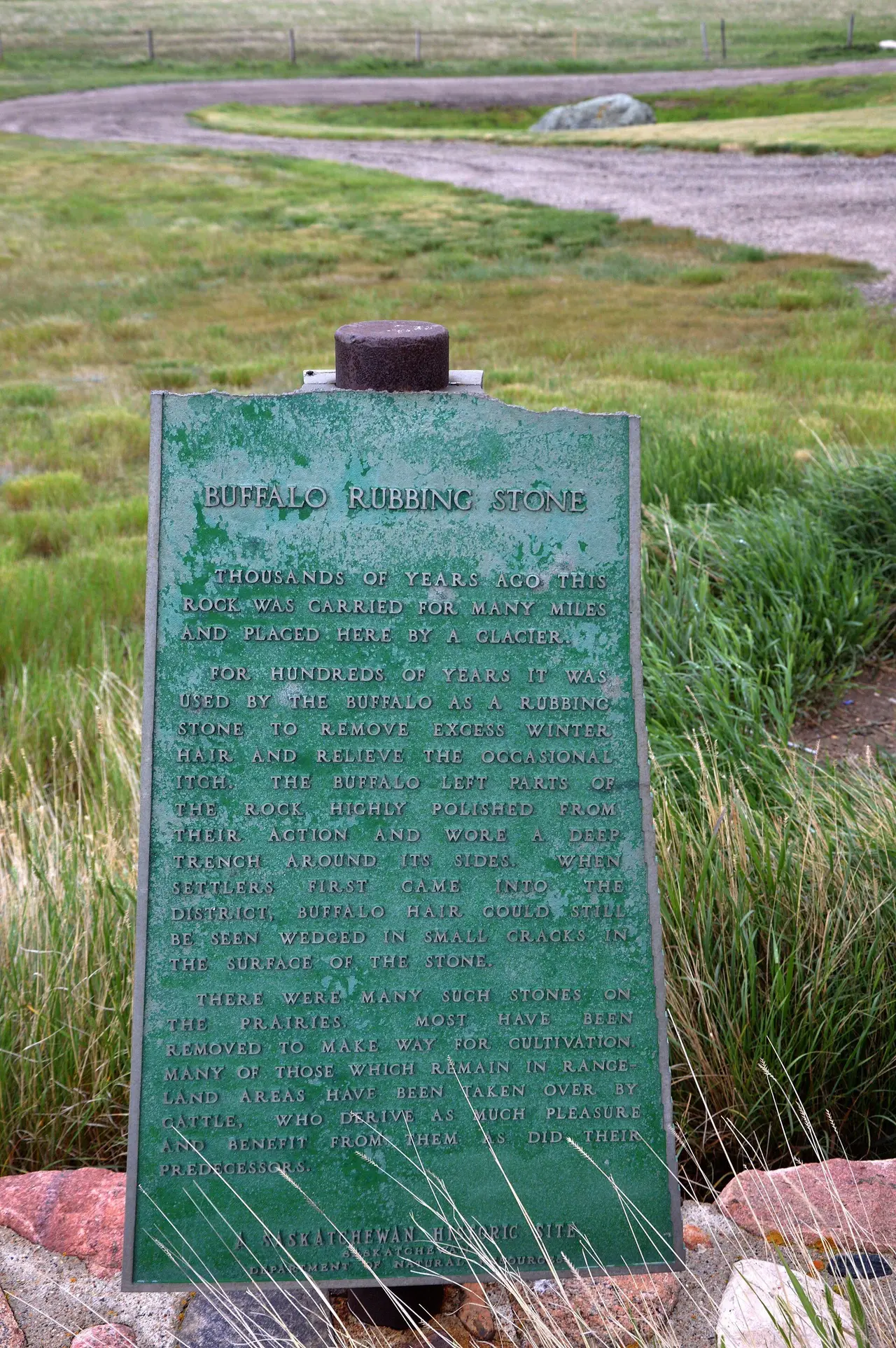 Buffalo Rubbing Stone historic site plaque, 2013